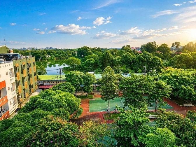 Bán Biệt Thự Lô Góc 2 Mặt Tiền Khu Vip Phân Lô Quang Trung, P11