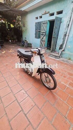 Honda Dream Việt 2014