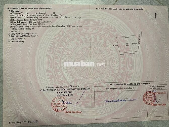 Chính chủ bán đất mặt tiền Tân Bửu giáp Bình chánh
