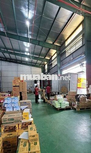 TUYỂN NHÂN VIÊN KHO MẶT HÀNG TIÊU DÙNG - QUẬN 8
