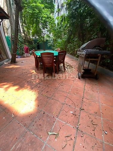 🏡 CẬP NHẬT CÁC CĂN BIỆT THỰ VÀ NHÀ CHO THUÊ - TÂY HỒ - HÀ NỘI