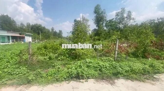 Đất nền 160m2 phía sau trường tiểu học Định Phước - 900 triệu.