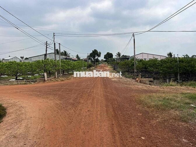 314m mặt tiền tại Tân Hưng - Tân Châu - Tây Ninh