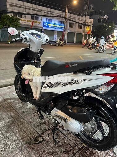 Honda Vision 2014 Đen, Trắng thanh lý phụ tùng