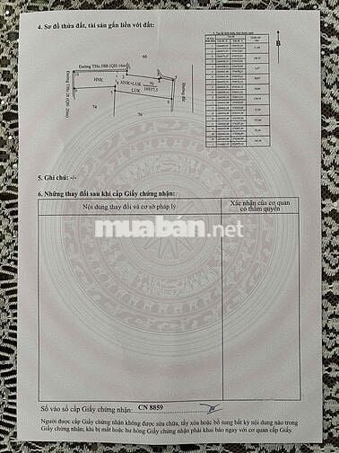 314m mặt tiền tại Tân Hưng - Tân Châu - Tây Ninh