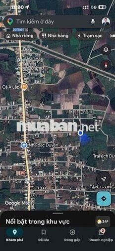 314m mặt tiền tại Tân Hưng - Tân Châu - Tây Ninh