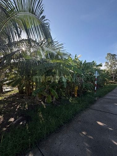 chính chủ bán gấp 1.466m² đất phường an xuyên, tp. cà mau 