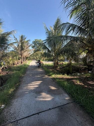 chính chủ bán gấp 1.466m² đất phường an xuyên, tp. cà mau 