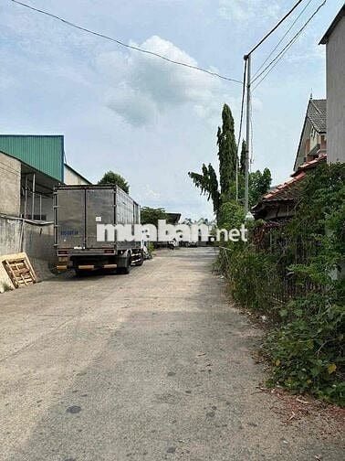 Đất MT đường ĐT743_p.Bình Chuẩn Tp.Thuận An__ 35 tỷ 5
