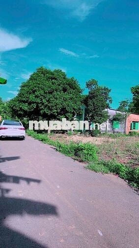 550 TRIỆU | LÔ MẶT TIỀN ĐƯỜNG NHỰA RỘNG – DÂN CƯ ĐÔNG – GẦN TRUNG TÂ