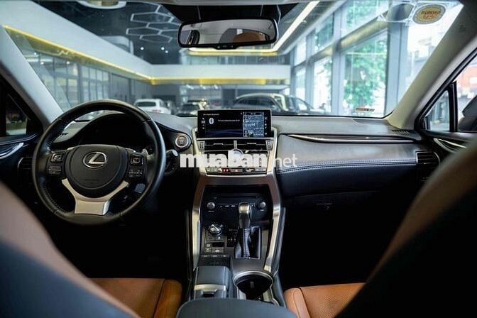 Lexus NX300 2021 Đen Nâu