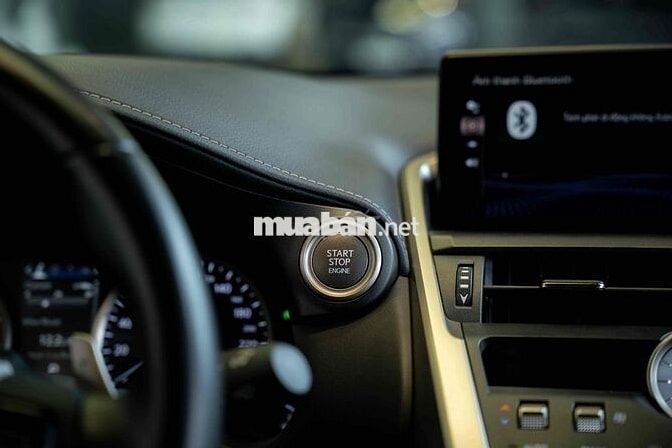 Lexus NX300 2021 Đen Nâu