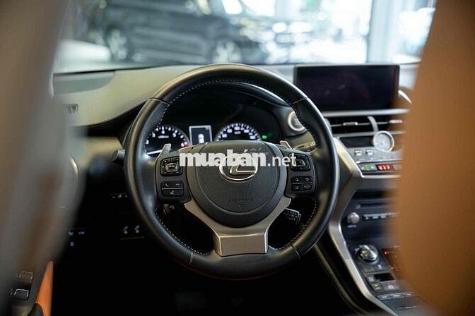 Lexus NX300 2021 Đen Nâu