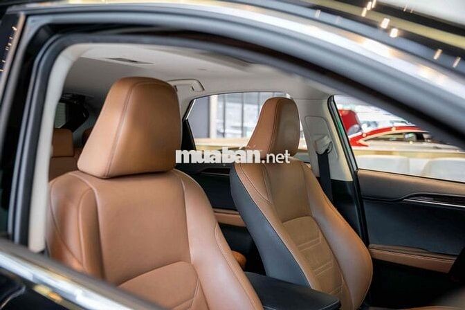 Lexus NX300 2021 Đen Nâu