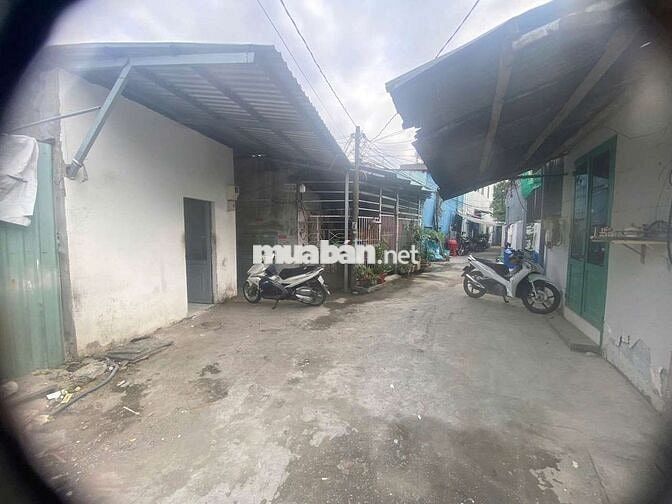 Cho thuê nhà trọ có phòng dưới đất cho nuôi chó