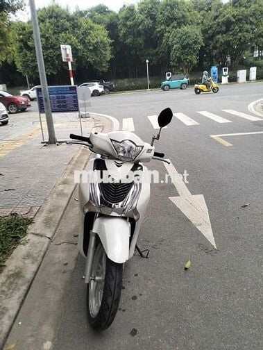 Honda SH Trắng