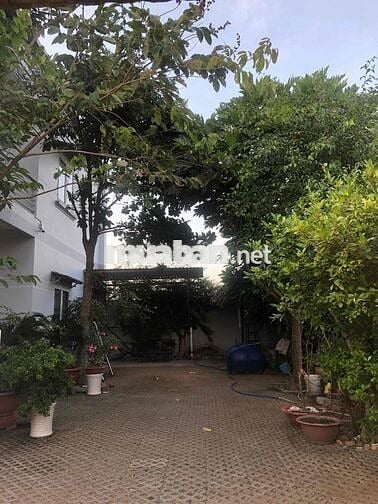 Nhà cho thuê phú hữu NT cách phà Cát Lái 1.5k,. Yêu cầu không thờ cúng