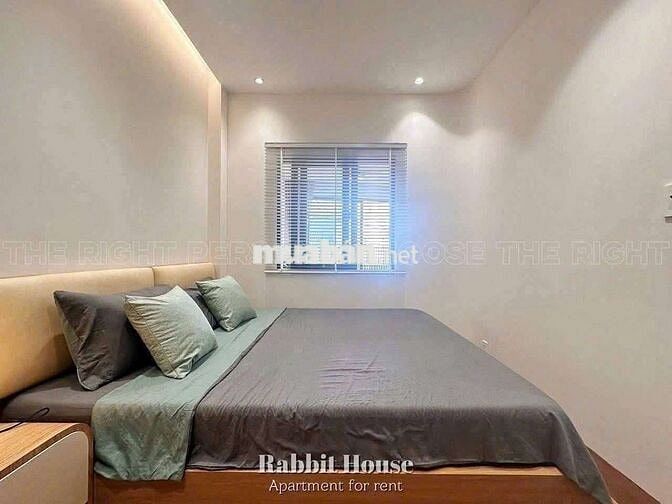 cho thuê căn hộ 1 phòng ngủ, ban công, gần tdtu, RMIT, Lotte,vivo city