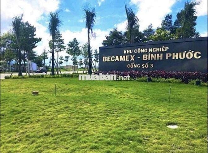 🔥 Chủ Ngộp Ngân Hàng Bán Gấp Đất 10x50 Có 120m² Thổ Cư Đối Diện KCN Mi