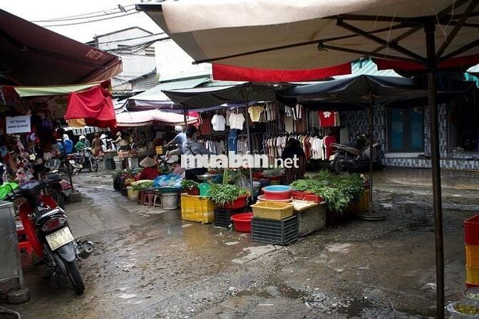 Bán đất, tặng nhà sẵn, có thể khai thác làm nhà trọ (full 14 phòng)