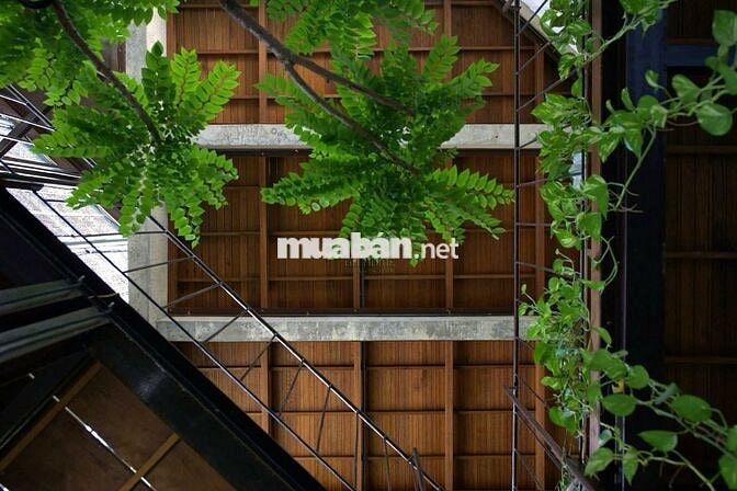 CHO THUÊ HOMESTAY 11 PHÒNG KIẾN TRÚC SIÊU ĐẸP GIÁ 70 TRIỆU/ THÁNG