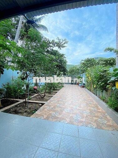 Cho Thục Nhà Nguyên Căn phù hợp cho khách đầu tư làm cho thuê lại.