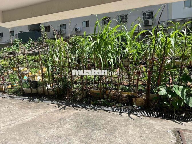 CHÍNH CHỦ bán căn GÓC Shophouse 3mặt tiền/1ty2x