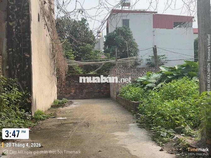 Bán 58M cổ dương tiên dương giá tụt thê thảm gần bìa và trung tâm