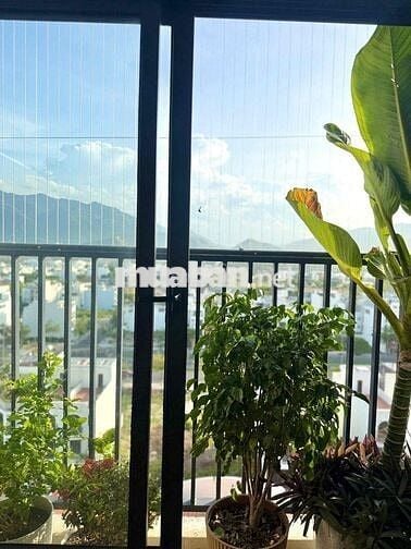 Cho Thuê Căn Hộ XH2 VCN Phước Long Nha Trang Vào Ở Ngay Full Nội Thất