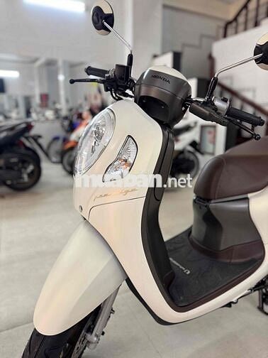 Scoopy  2024 Trắng nhám Indonesia (Chạy 4.000Km)