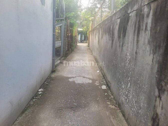 THÔNG BÁO ĐẤU GIÁ TÀI SẢN THEO THỦ TỤC RÚT GỌN