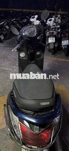 Yamaha Acruzo Xanh Xăng
