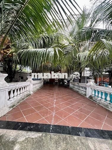 Cho Thuê Nguyên Căn Biệt Thự DT 800m2 1Trệt 3Lầu 6Pn 6Wc Sân Vườn