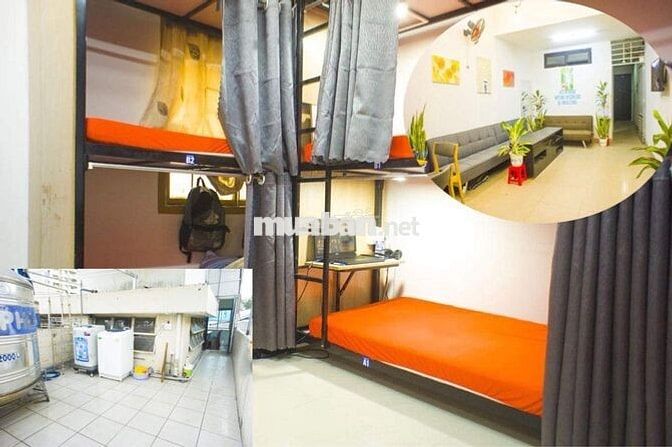 Đinh Tiên Hoàng Đại học Khoa học Xã hội và Nhân văn Phòng Sinh viên 