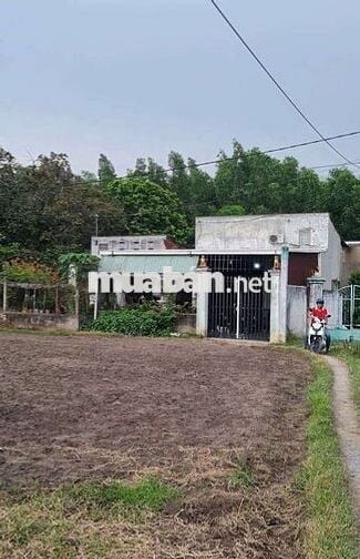 Bán gần 900m2 đất sổ riêng có 283m2 ODT tại phường Tân Triều. 1,55 tỷ
