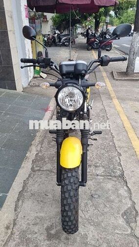 Yamaha PG-1 2024 Vàng