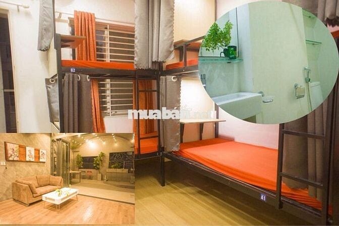 Đại học Y Khoa Phạm Ngọc Thạch Thành Thái Trọ ghép Sinh viên Văn phòng