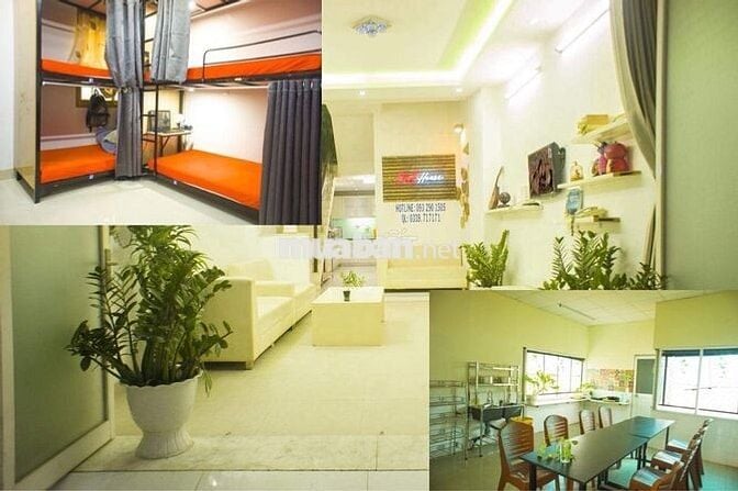 Đại học Y Khoa Phạm Ngọc Thạch Thành Thái Trọ ghép Sinh viên Văn phòng