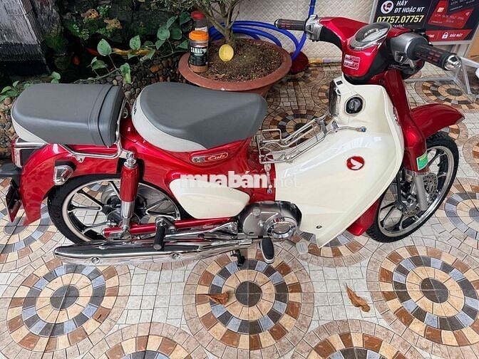 Honda Cub 125 2021 Đỏ Trắng 2000 km
