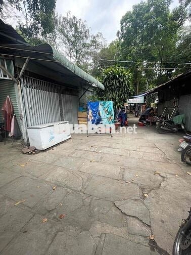 nhà riêng biệt nguyên căn cho thuê tại làng đại học Thủ Đức