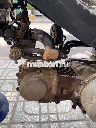 Honda Cub 86/50 50cc kim vàng giọt lệ bstp