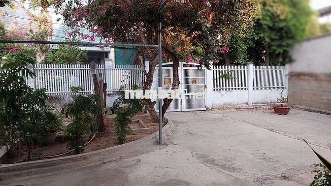 Về quê cần bán gấp nhà vị trí đẹp phong thủy tốt