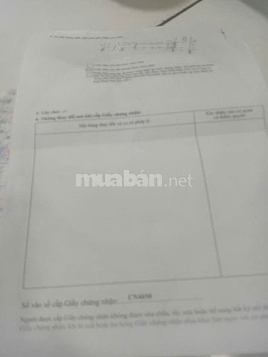 Bán nhà số 166 Diên Hồng, Phường Gia Định, TP.HCM, 56,8m2, sổ hồng