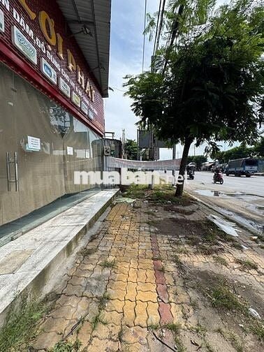 🏢 CHO THUÊ MẶT BẰNG KINH DOANH MẶT TIỀN ĐƯỜNG NGUYỄN CỬU PHÚ