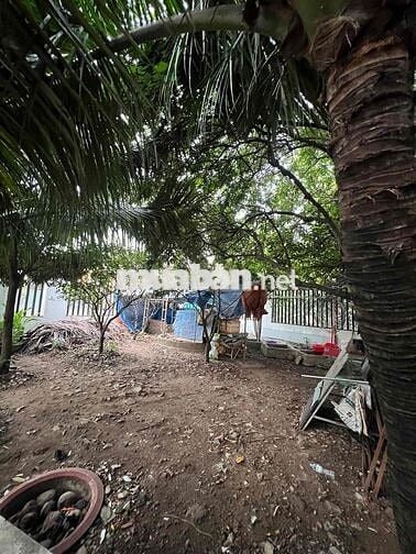 Cho Thuê Nguyên Căn Biệt Thự Siêu Rẻ DTSD 800m2 1Trệt 3Lầu 6Pn 6Wc
