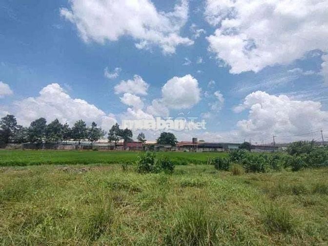 ĐẤT MT VÀNH ĐAI 3- BÌNH MỸ CỦ CHI -2.615M² -NGANG 45M- GIÁ 7.6 TR/M²