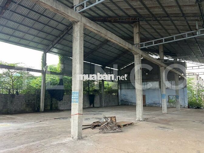 Kho xưởng bãi, văn phòng, khuôn viên 7.000 m² Quốc Lộ 91, lộ Container