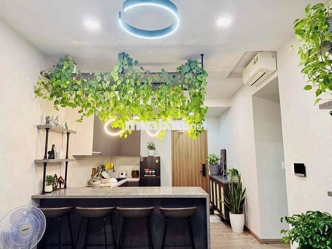 🎉 Đầu Th8 Vào Ở 56m Full NT Chốt Cọc Giữ Căn 10Triệu tại Akari City