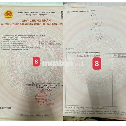 MỞ BÁN 10 LÔ ĐẤT ĐÔ THỊ MẶT TIỀN ĐƯỜNG NHỰA 6M – XÃ THỦ THỪA, TÂY NINH