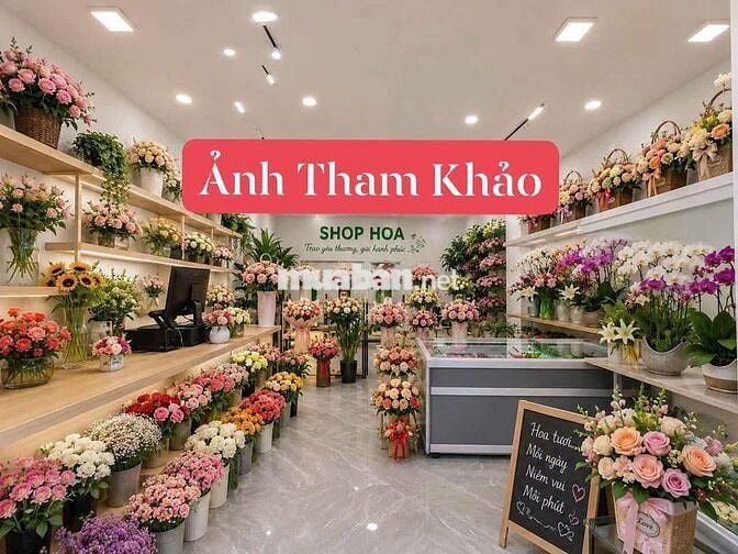 Nhà 1 Trệt 1 Lầu - Ngang 6 mét - Mặt Tiền Đường Trần Quang Diệu